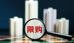 社会热点话题事件2025 黑瓜,揭秘网络舆论风暴背后的真相